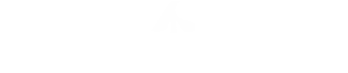 Zirkin and Schmerling Public Affairs